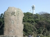 2010031406