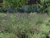 2010071813