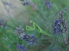 2010071814