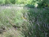 2010071815