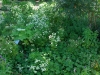 2010071817