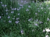 2010071821