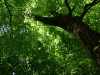 2010071824
