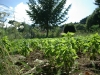 2010071828