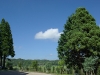 2010071830