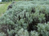 2010091803