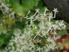 2010091933
