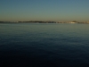 2010120441