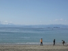 2011021316