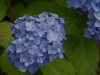 20110605o