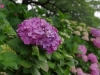 20110605r