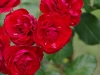 2011071618