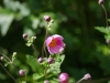 20110918079