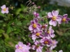 20110918080