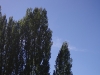20110918094