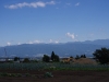 2011091932