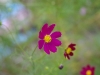 2011091940