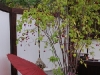 2011102319