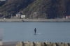 2012020530