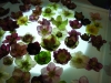 2012021901