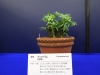 2012021902