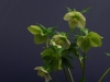 2012021903