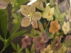 2012021909