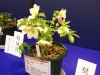 2012021910