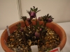 2012021911