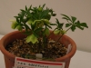 2012021912