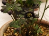 2012021913