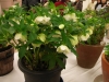 2012021916
