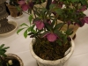 2012021917