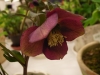 2012021918