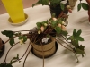 2012021921