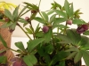 2012021922