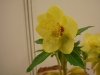 2012021923