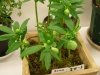 2012021926