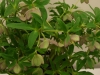 2012021927