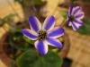 2012021930