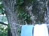 2012091601