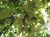 2012091607