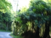 2013042907