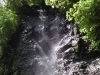 2013042921