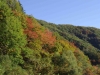 2015101805