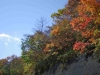 2015101814