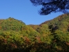 2015101901