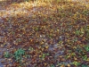 2015101903