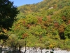 2015101904