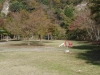 2015112906